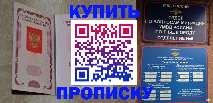где прописаться в Коврове